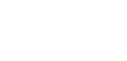 IRI Consultants logo